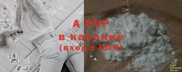 ECSTASY Иннополис