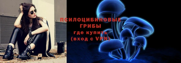 стафф Инсар