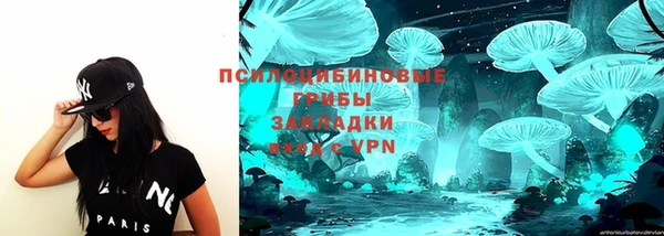 эйфоретик Инта